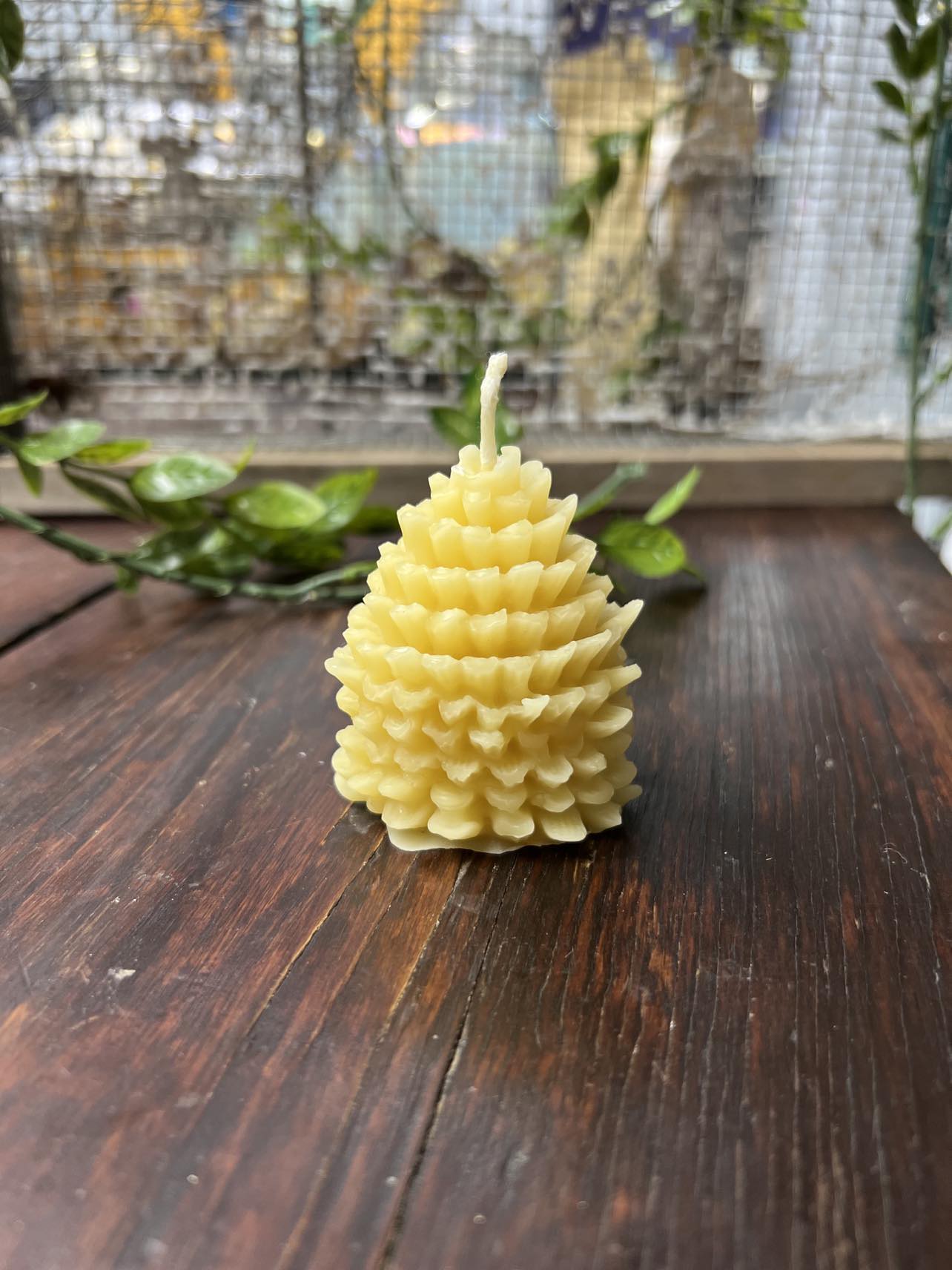 Beeswax Pine Cone Candle